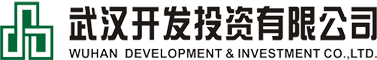 海外业务- 主要业务-武汉开发投资有限公司